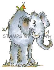 I-123 Baggy Elephant